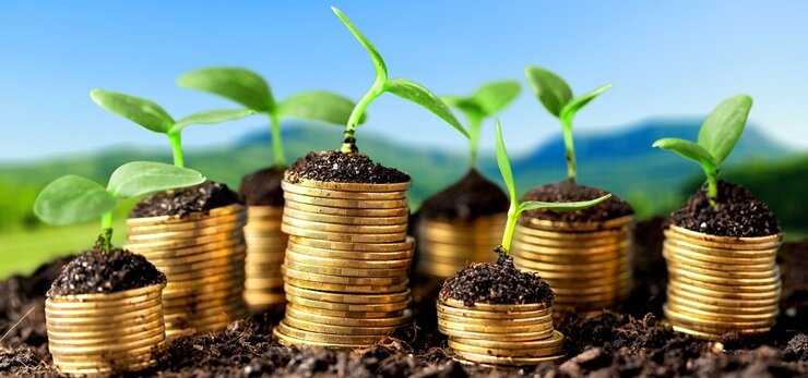 Growth green business money investment prosperity concept